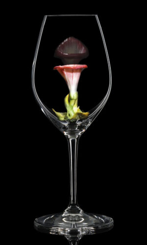 Champagne Riedel glass Bindweed 01