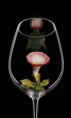 Champagne Riedel glass Bindweed 02