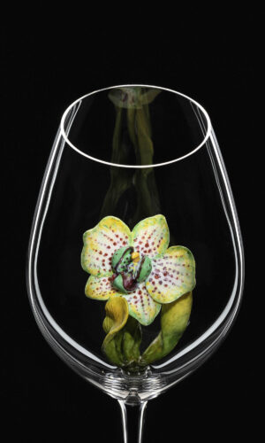Champagne Riedel glass Cattleya Orchid 02