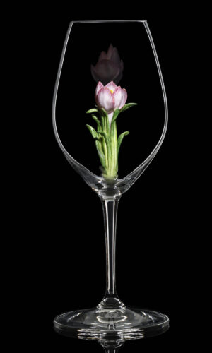 Champagne Riedel glass Crocus 01