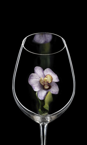 Champagne Riedel glass Vanda Orchid 02