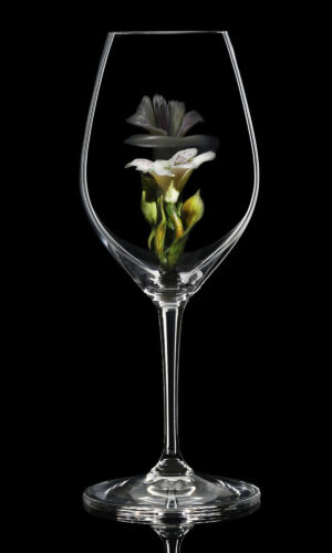 Champagne Riedel glass alstroemeria 01