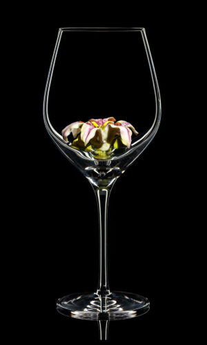 Red wine glass Lily 01