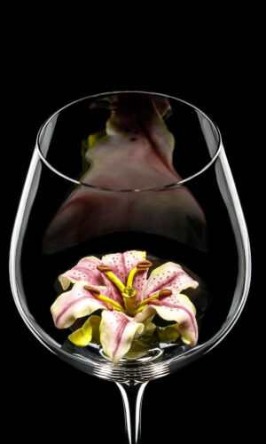 Red wine glass Lily 02