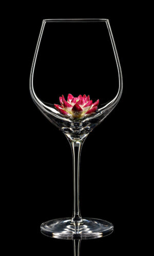 Red wine glass Purple Lotus 01