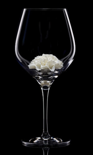 Red wine glass White Carnation 01