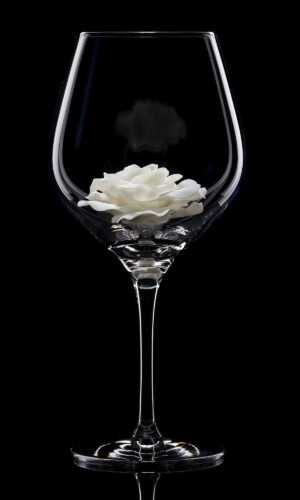 Red wine glass White Rose 01